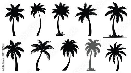 Diverse collection of ten black palm tree silhouettes with various shapes and heights