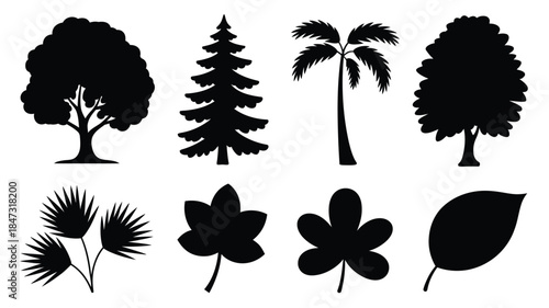 Eight unique black silhouettes featuring various tree types and individual leaves for botanical designs