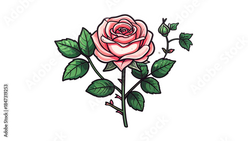 A detailed cartoon illustration of a pink rose with green leaves and stem against a black backdrop