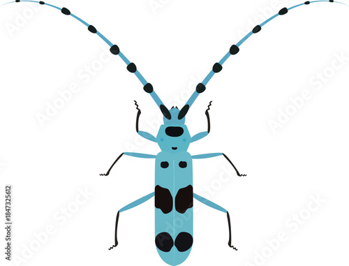 The Alpine longhorn beetle is a large, beautiful, and rare beetle that lives in oak forests.
