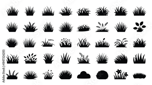 Many different black silhouette grass clumps and small plants are shown against a white background