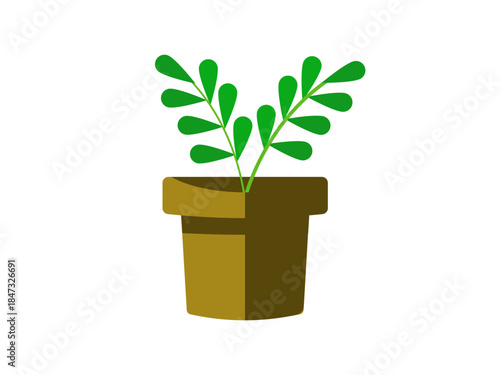 a cute potted plant