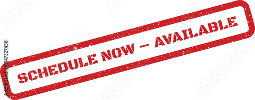 A rectangular textured rubber stamp clearly stating SCHEDULE NOW AVAILABLE for immediate booking or action