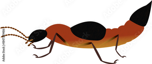 The rove beetles are an ecologically and morphologically diverse group of beetles, and commonly encountered in terrestrial ecosystems.