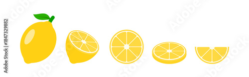 lemon vector in various slices