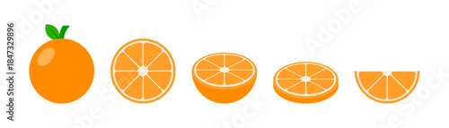 orange vector in various slices