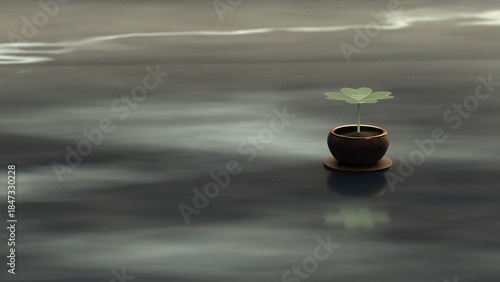 Minimal green clover plant in dark pot on soft gray misty surface