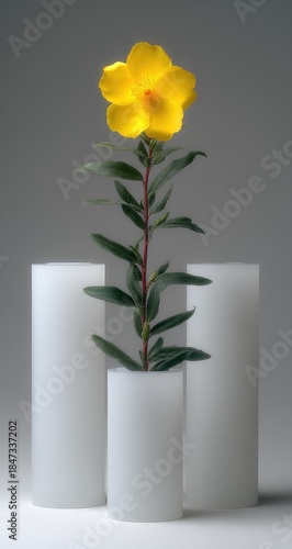 A single yellow flower stands tall in a frosted cylinder vase.