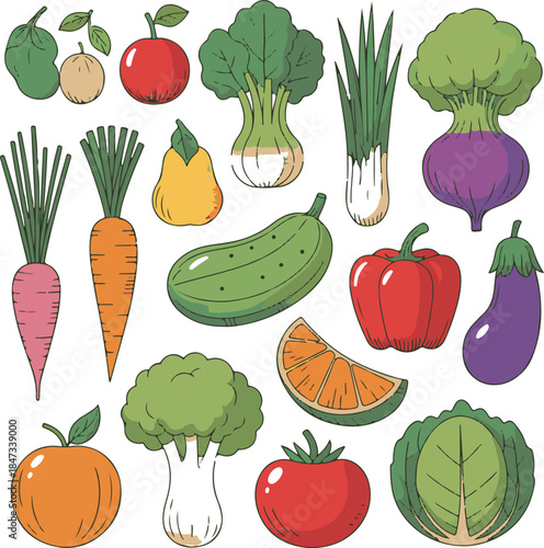 Vegetables Flat Vector | Organic Food Illustration