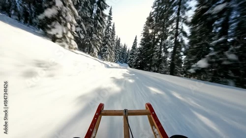 First person point of view tracking shot from the empty sled moving incredibly fast down a snowy forest path emphasizing blur and forward velocity trees, journey, fast travel