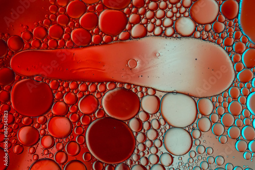 Close up of oil drops on water surface. Colorful abstract macro background of oil drops on water surface with air bubbles inside. Colorful background for gadget and computer wallpaper