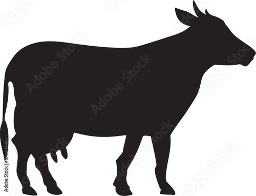 Welsh Black cattle White Park cattle, cow, mammal, image File Formats png