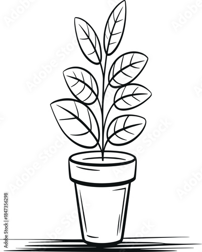 Minimalist Line Art Vector Illustration of a Potted Houseplant with Large Oval Leaves, Perfect for Interior Design, Nature, and Home Decor Themes.