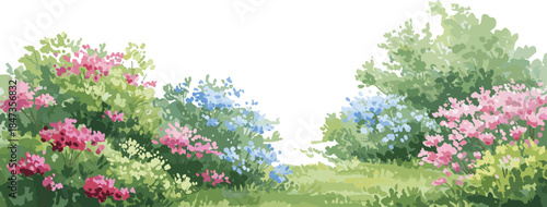 "Flower bushes in garden landscape, colorful pink and blue blossoms, nature background, decorative plants, seasonal foliage, cad drawing flat vector illustration"