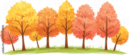 Autumn forest landscape with colorful orange and yellow trees, fall season nature park background, foliage illustration, cad drawing flat vector illustration