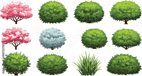Realistic garden bushes and colorful trees collection, green plants, pink flowers, grass foliage, landscape element, cad drawing flat vector illustration, nature design