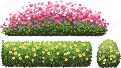 Colorful garden bushes with pink, purple, and yellow flowers, lush green foliage landscape, spring floral design, cad drawing flat vector illustration