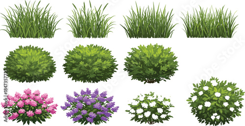 Collection of green bushes, garden grass and colorful flowering shrubs for landscape design and architecture projects, CAD drawing flat vector illustration