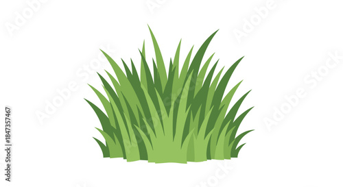 Simple vector illustration of a lush green patch of grass, a natural design element for landscapes, gardens, and spring themes.