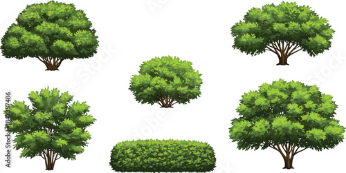 Realistic green bush and shrub collection, landscape gardening plants, outdoor foliage design, nature element for architecture, CAD drawing flat vector illustration