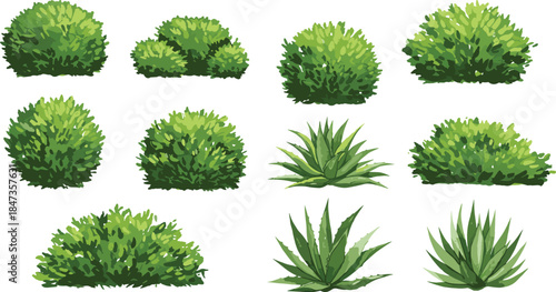 Realistic green bush and tropical plant set for landscape design, foliage nature garden element collection, cad drawing flat vector illustration, outdoor greenery shrubs design.