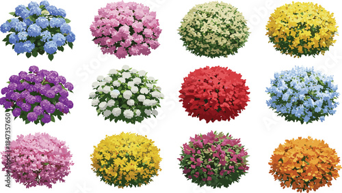 Colorful flower bushes collection, garden plant foliage set, blooming nature shrubs top view, landscape decorative greenery, cad drawing flat vector illustration