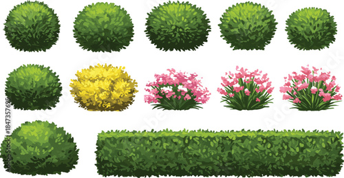 Green bush and flowering plant collection for garden landscape design, natural foliage elements, eco nature decoration, realistic shrub illustration, cad drawing flat vector illustration