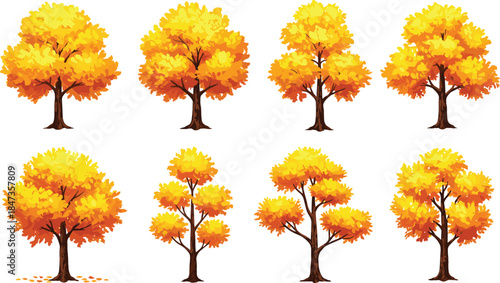 Autumn yellow tree collection, fall foliage landscape illustration, seasonal nature art, environmental background design, cad drawing flat vector illustration, outdoor park scenery.