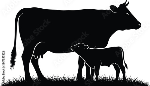 Cow with calf silhouette on grass field, mother and baby cattle farming concept, livestock animal care, CAD drawing flat vector illustration