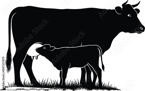 Cow feeding calf silhouette on grass, farm animal love, agriculture concept, mother and baby cattle, CAD drawing flat vector illustration