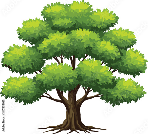 Green leafy tree with branches and roots, natural forest plant design, eco landscape element, cad drawing flat vector illustration