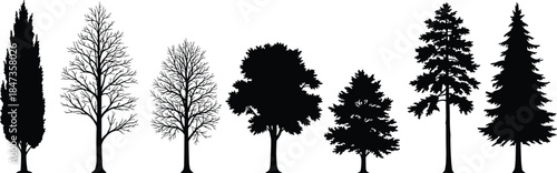 Different types of tree silhouettes, forest nature elements collection, various tree shapes and species set, cad drawing flat vector illustration