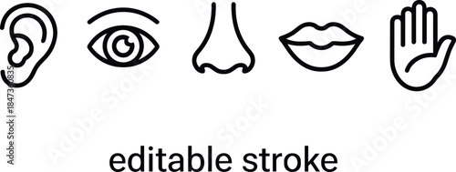 Human five senses line icons set showing ear eye nose lips hand editable stroke minimalist vector illustration