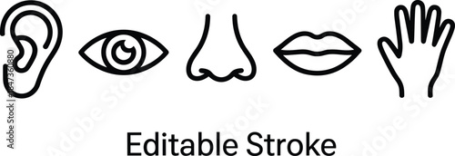 Human five senses line icons set showing ear eye nose lips hand editable stroke minimalist vector illustration