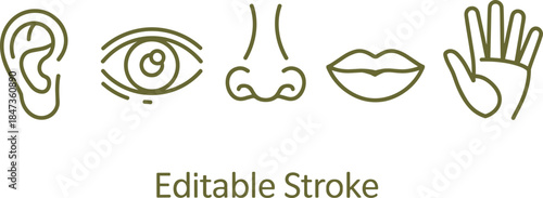 Human five senses line icons set showing ear eye nose lips hand editable stroke minimalist vector illustration