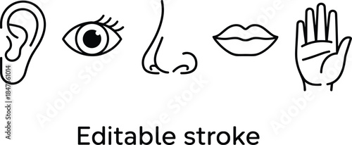 Human five senses line icons set showing ear eye nose lips hand editable stroke minimalist vector illustration