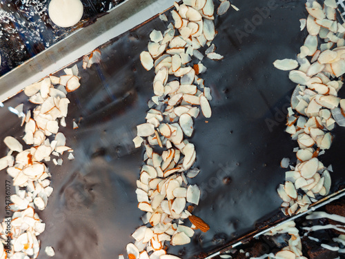 Chocolate dessert topped with sliced almonds and coconut flakes on a flat surface in a kitchen setting