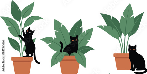 Black cats hiding among potted houseplants vector illustration, cute pet animals with indoor plants, modern flat design home interior decor