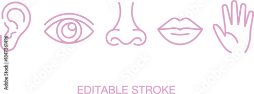Human five senses line icons set showing ear eye nose lips hand editable stroke minimalist vector illustration