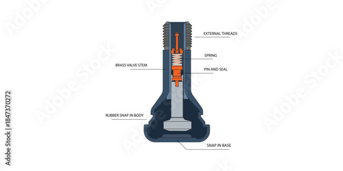 Illustrator of a tire valve stem cross-section diagram. Automotive Schrader valve vector illustration showing internal structure with spring, core pin, rubber housing for vehicle maintenance concepts.