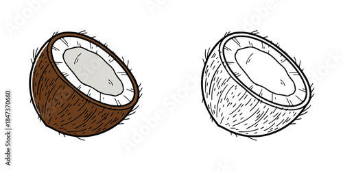 シンプルなココナッツのアイコンイラスト