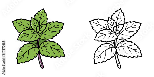 シンプルなミントのアイコンイラスト