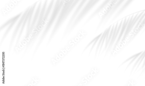 Transparent shadow overlay effect bamboo leaves isolated on transparent background. Background illuminated by sunlight through tropical foliage. Vector illustration