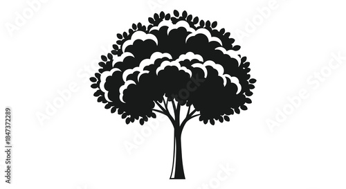 a solitary tree with dense foliage presented in a striking black and white silhouette