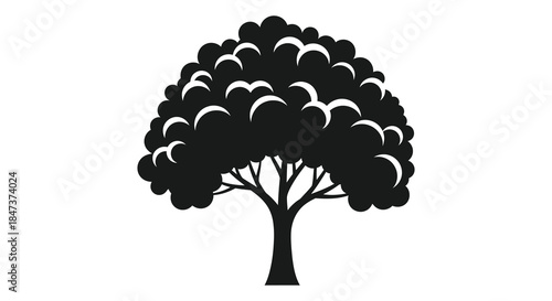 a dark rounded tree form with dense foliage and a distinct trunk a beautiful silhouette