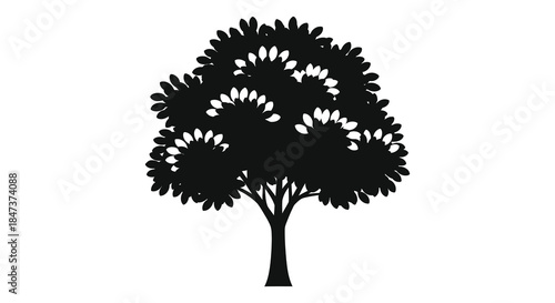 a detailed depiction of a leafy tree with a full crown against a white background silhouette