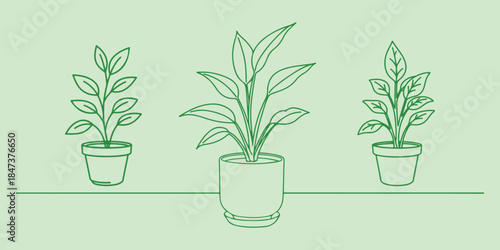 Simple green line art illustration of three potted houseplants on a pale green background. Home decor, growth, and nature-themed design elements.