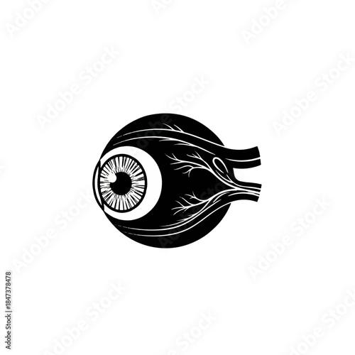 Anatomical Human Eye Optic Nerve Illustration