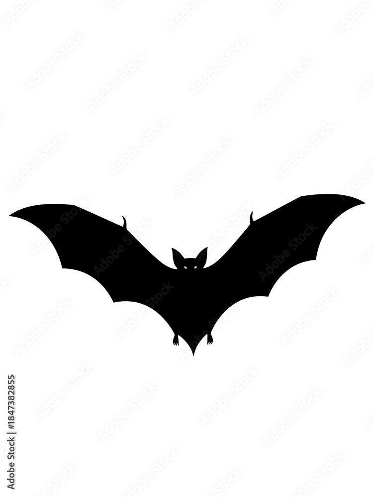 Fototapeta premium Black Bat Flying Isolated on White Background