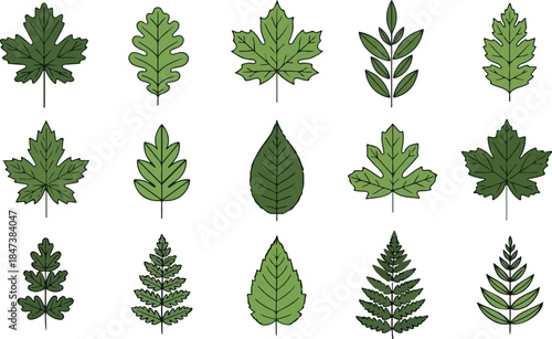 Fifteen illustrations of various green leaf shapes arranged in three rows